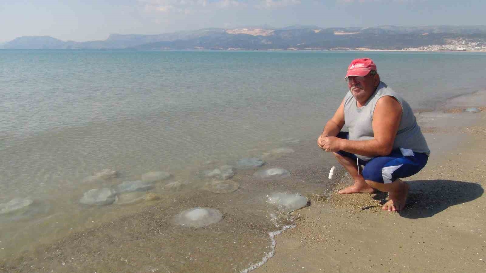 Deniz anaları Akdeniz sahillerine akın etti