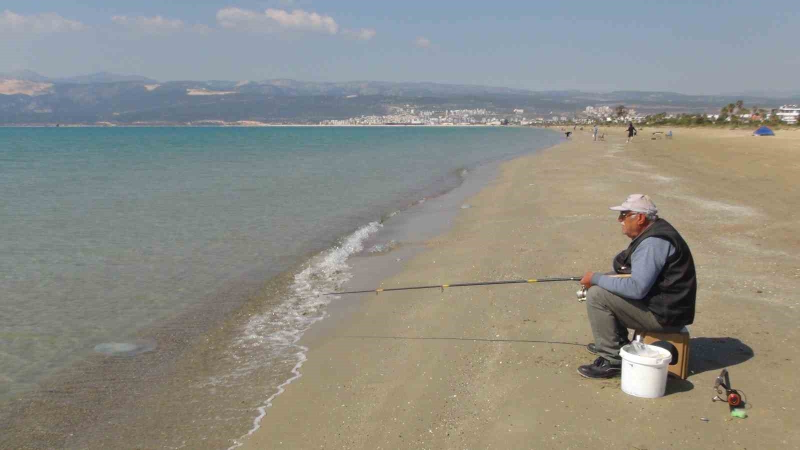 Deniz anaları Akdeniz sahillerine akın etti