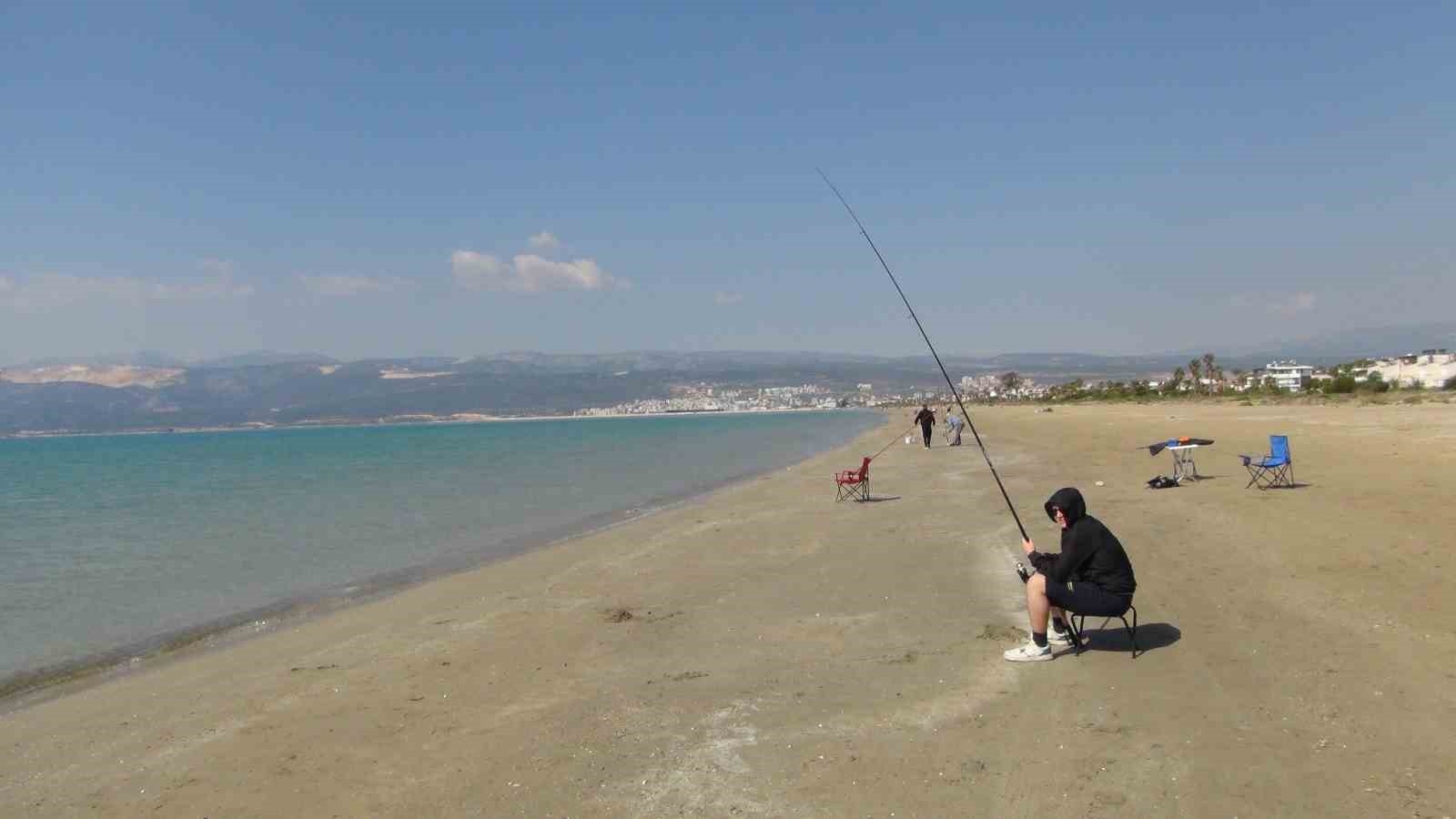Deniz anaları Akdeniz sahillerine akın etti