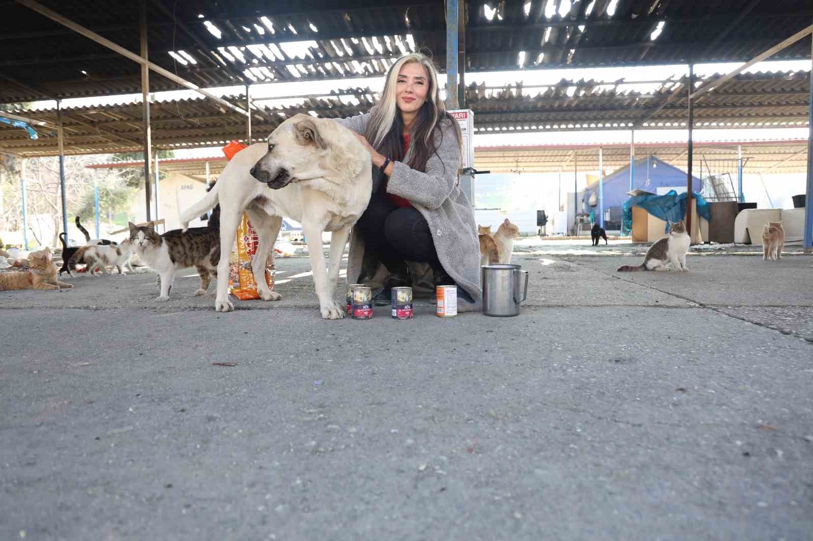 Fatma öğretmen, enkaz kentin sokak hayvanlarına umut oldu