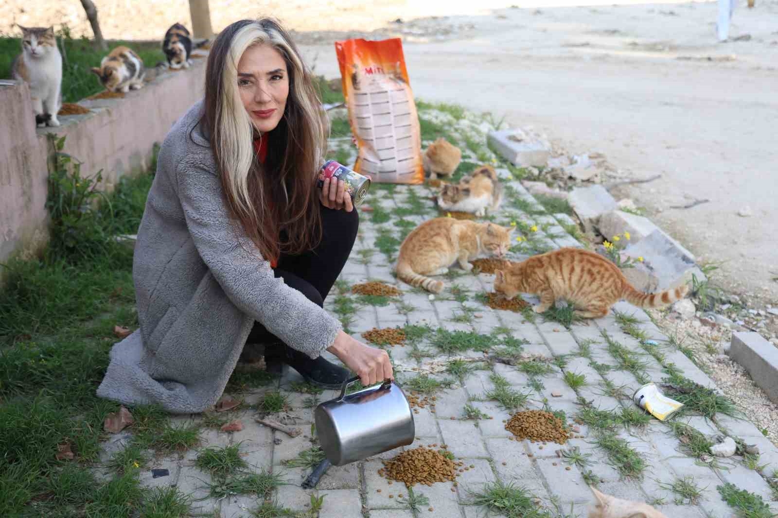 Fatma öğretmen, enkaz kentin sokak hayvanlarına umut oldu