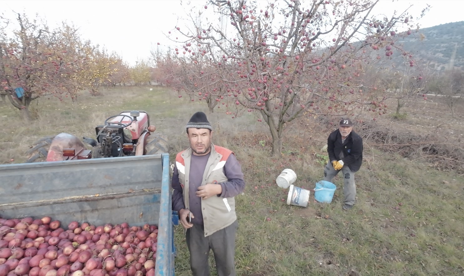 "İlaçla virüs yayacak sandım, canlı yayından yardım istedim"