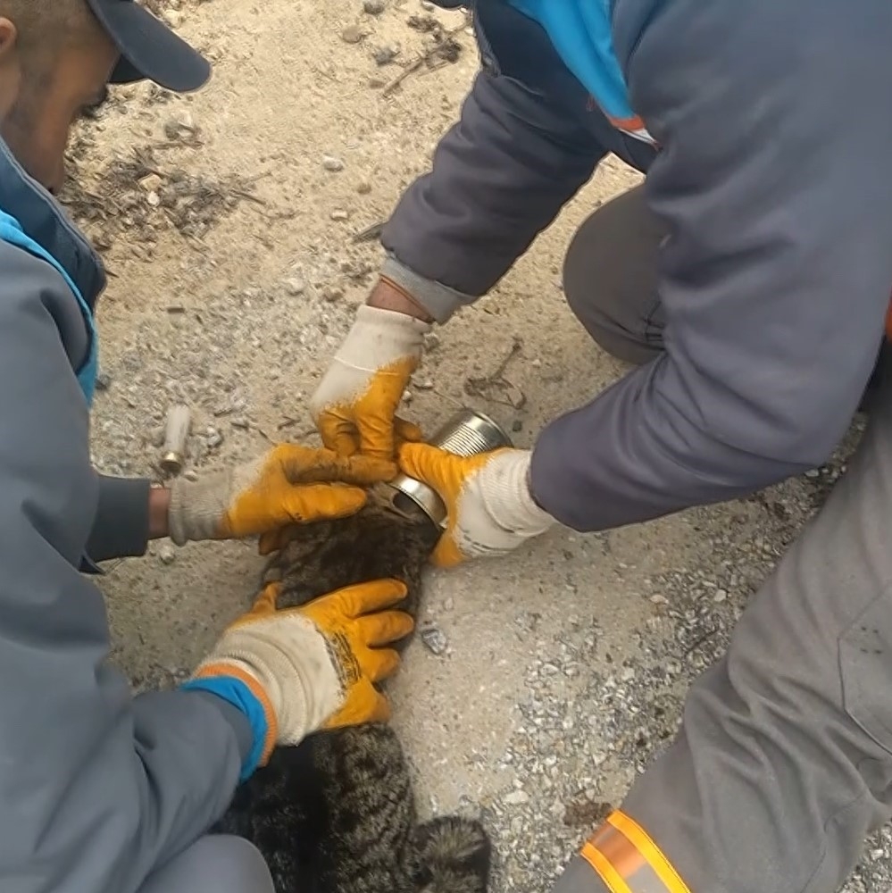 İşi gücü bırakıp yardıma koştular