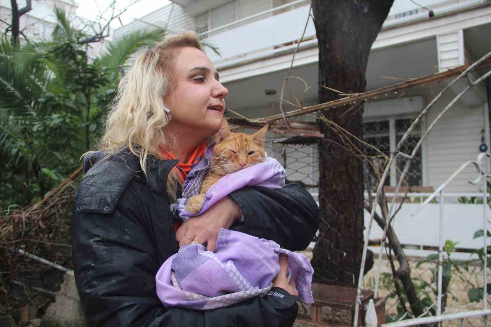 Sel suyuyla dolu bodrum katta ölümü göze alıp kedisini kurtaran kadın o anları anlattı