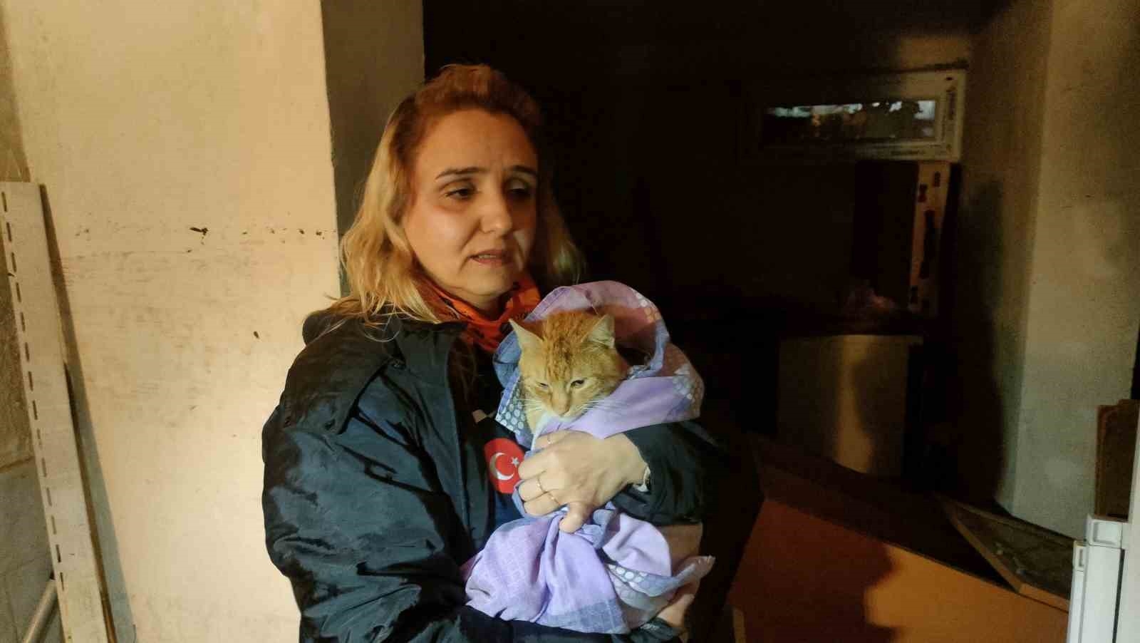 Sel suyuyla dolu bodrum katta ölümü göze alıp kedisini kurtaran kadın o anları anlattı