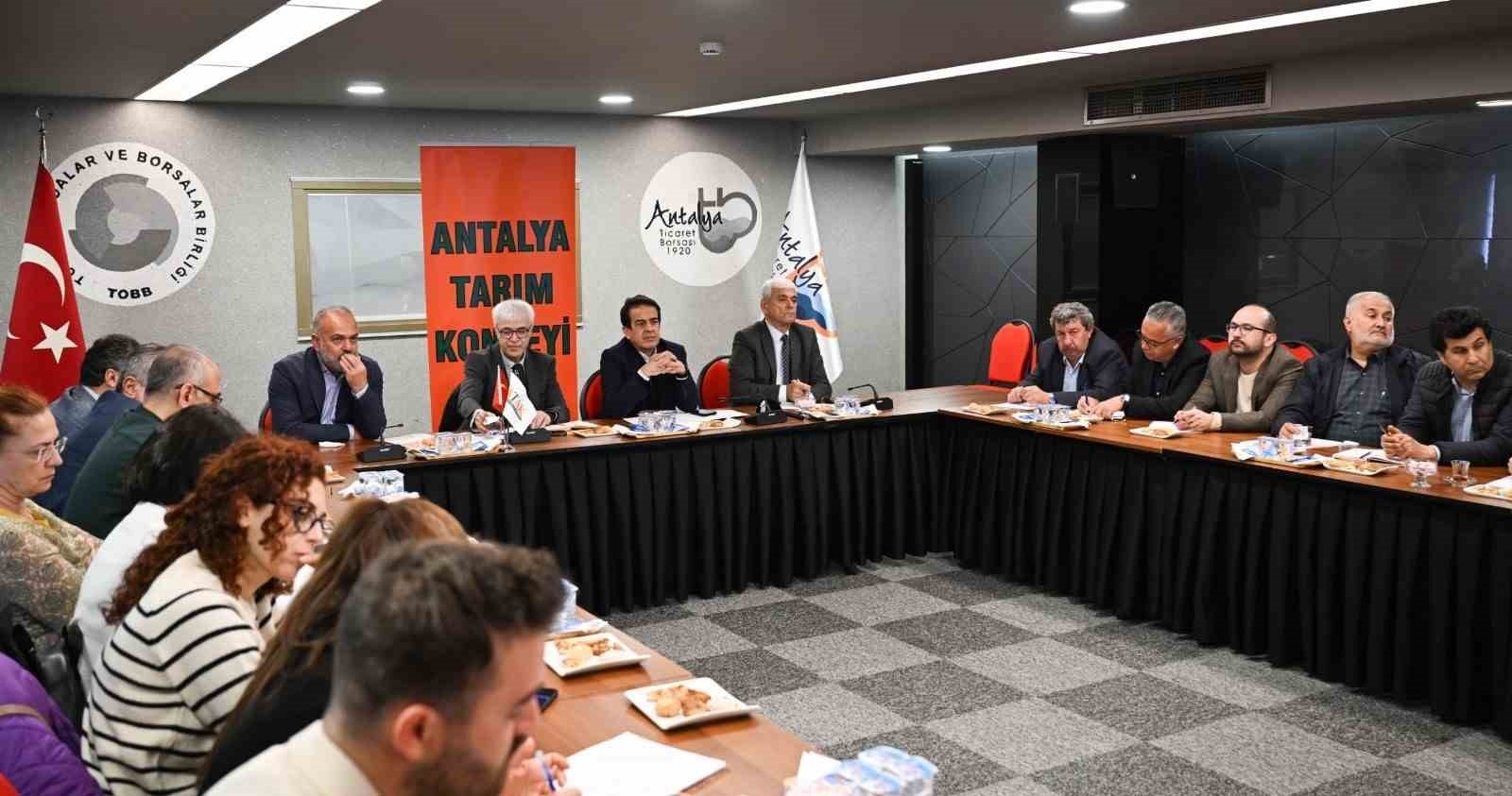 Turunçgilde yeşillenme hastalığı ATAK'ta konuşuldu