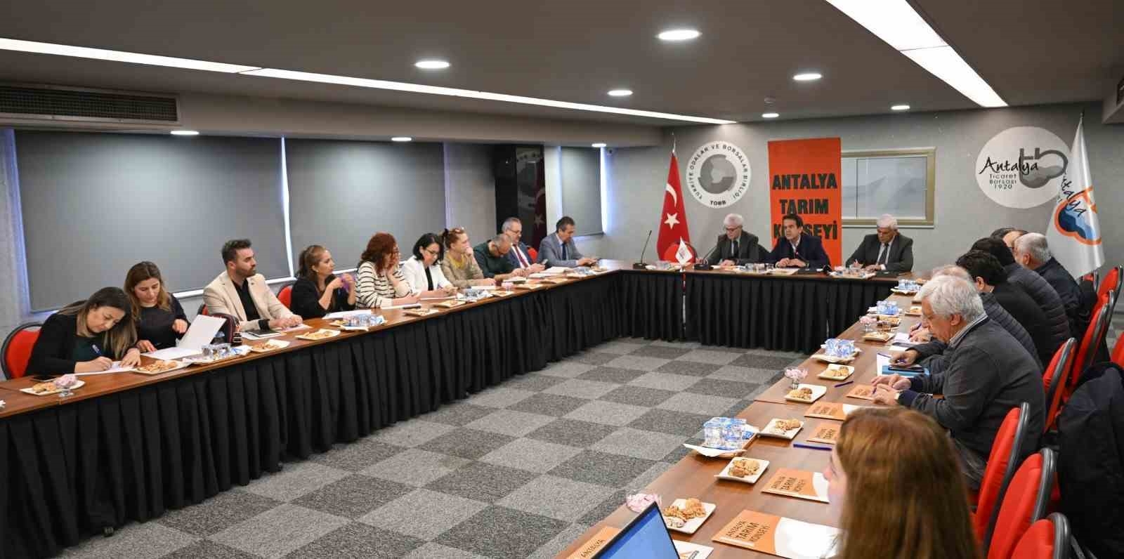Turunçgilde yeşillenme hastalığı ATAK'ta konuşuldu