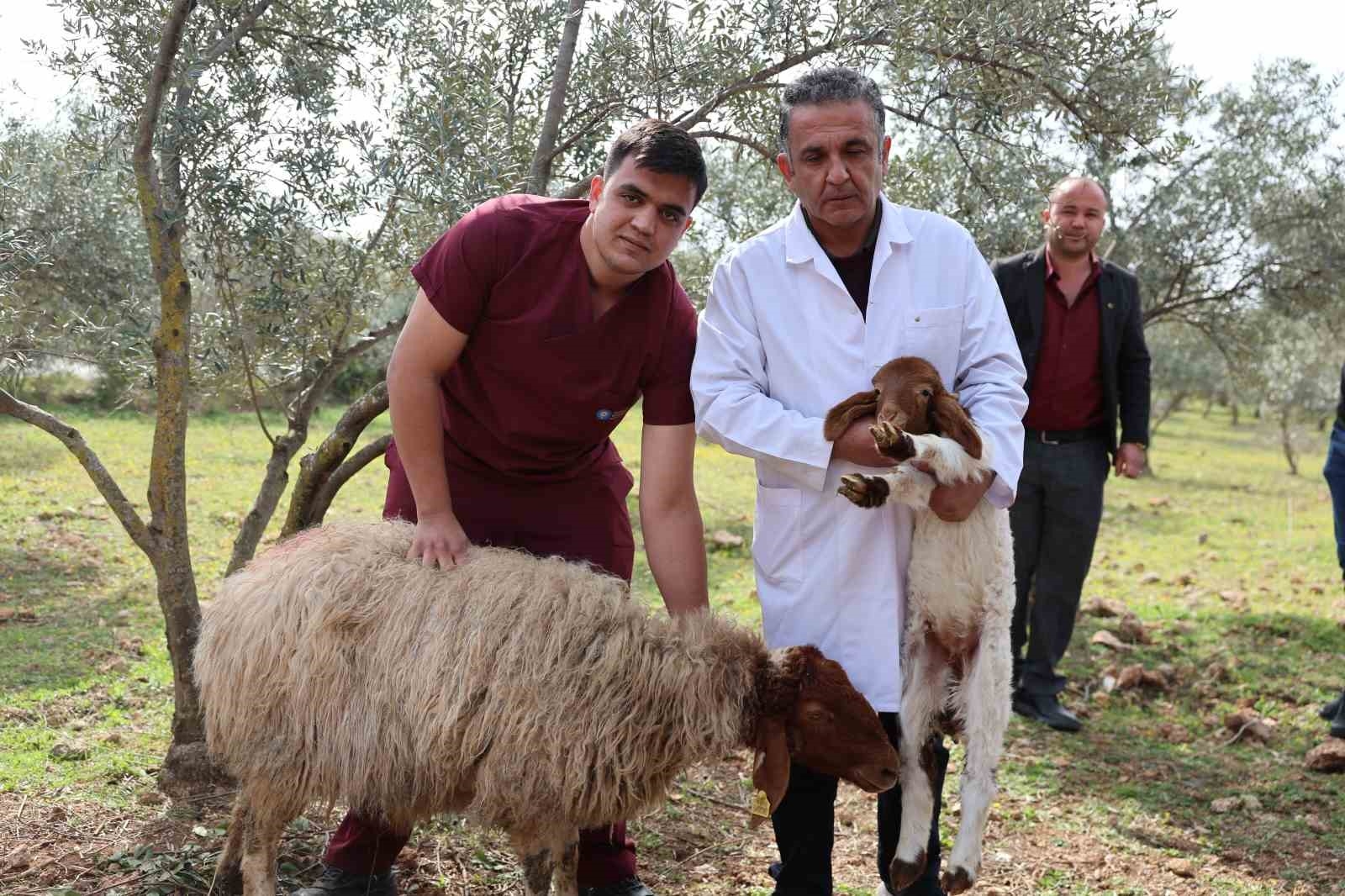 10 kuzusu telef olan çiftçiye, kamyonet dolusu çifte mutluluk