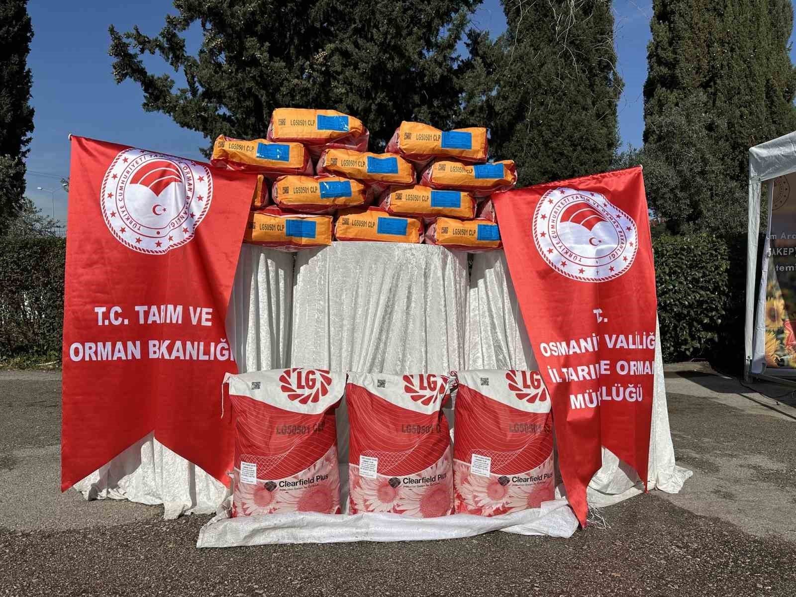 500 çiftçiye Ayçiçek tohumu dağıtıldı