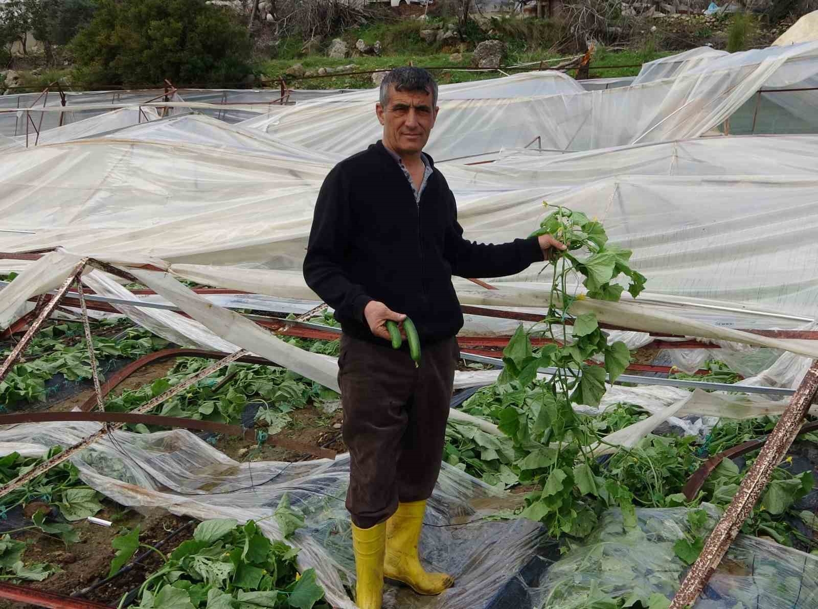 Alanya'da hortum 250 dönümden fazla seraya zarar verdi