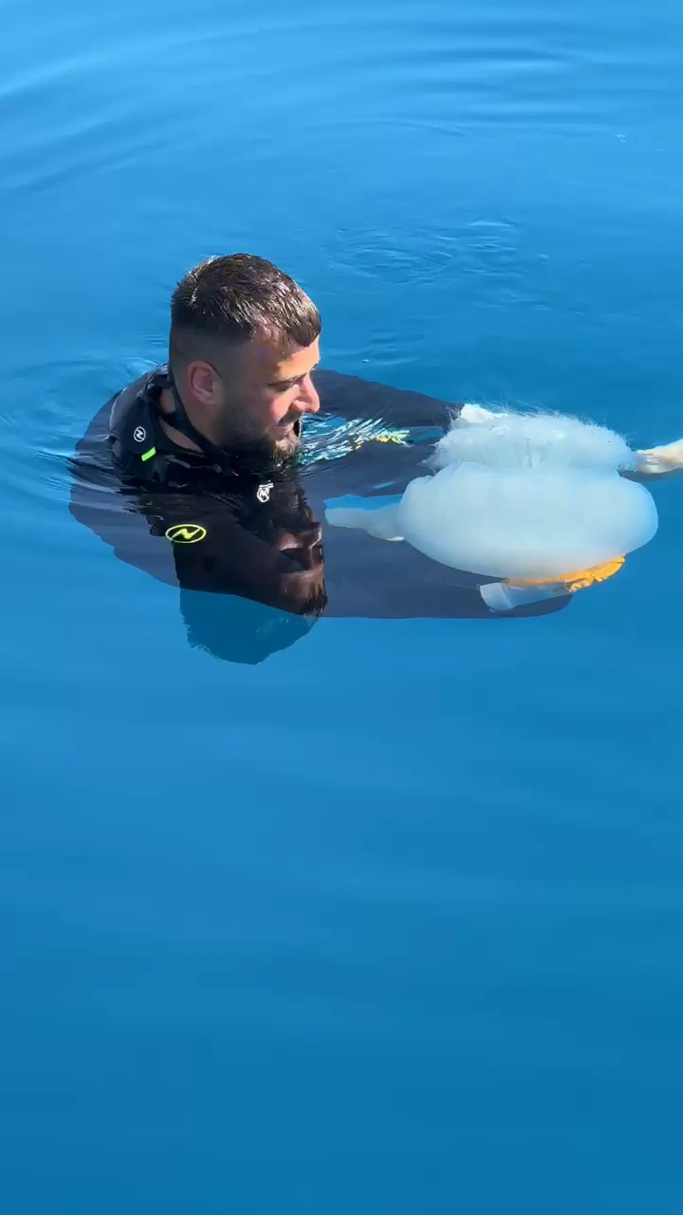 Denizanasıyla dans