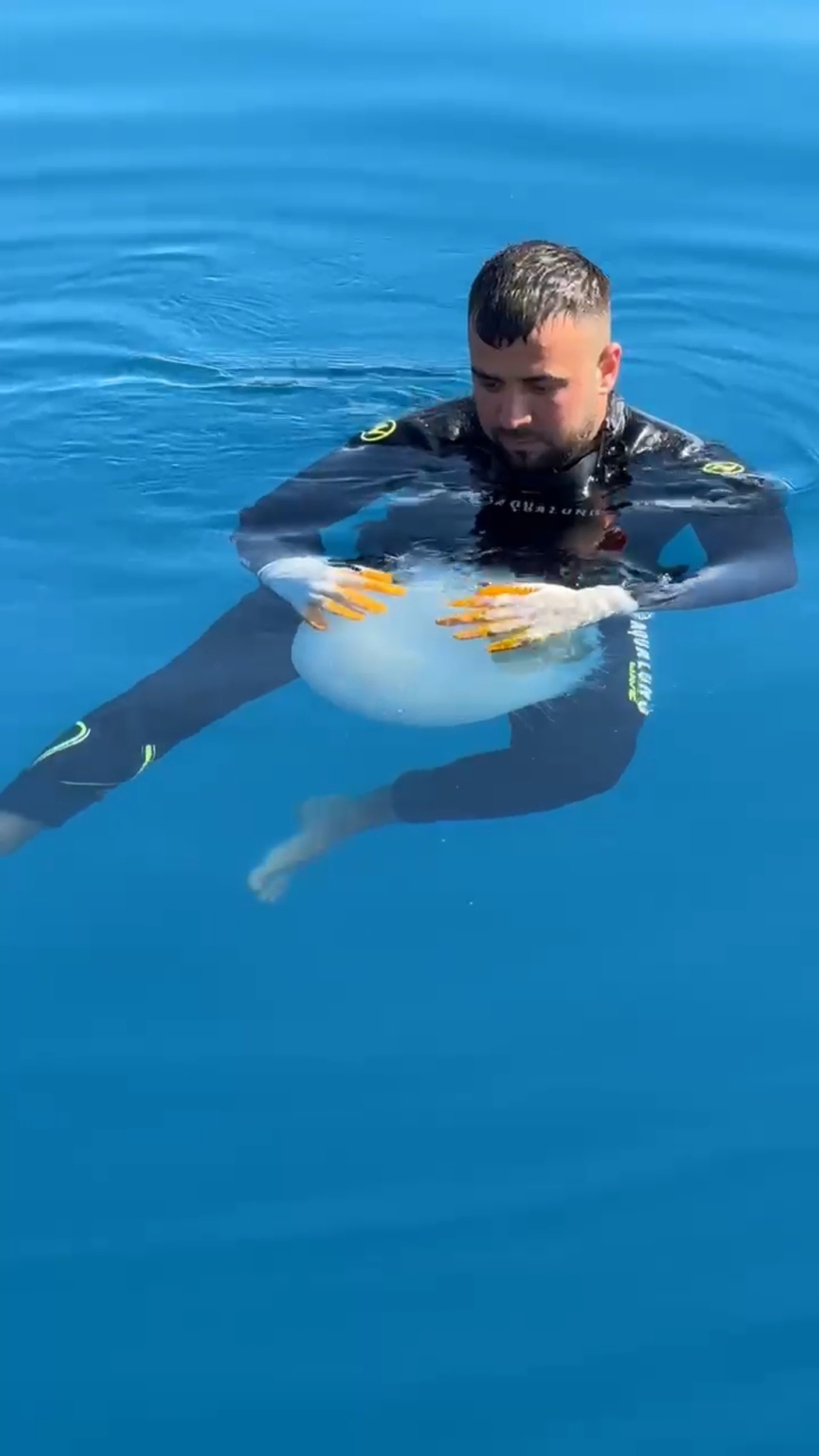 Denizanasıyla dans