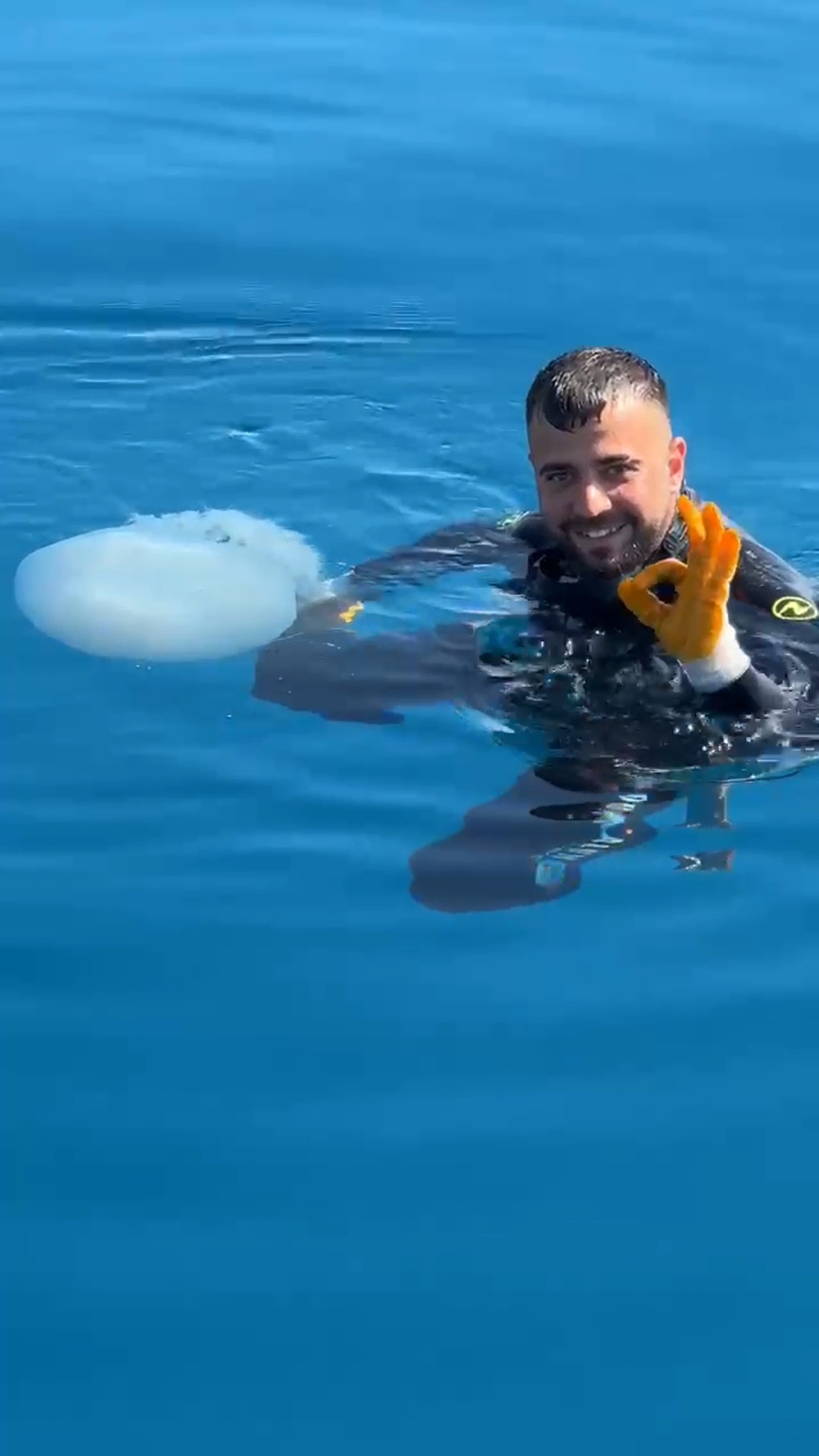 Denizanasıyla dans