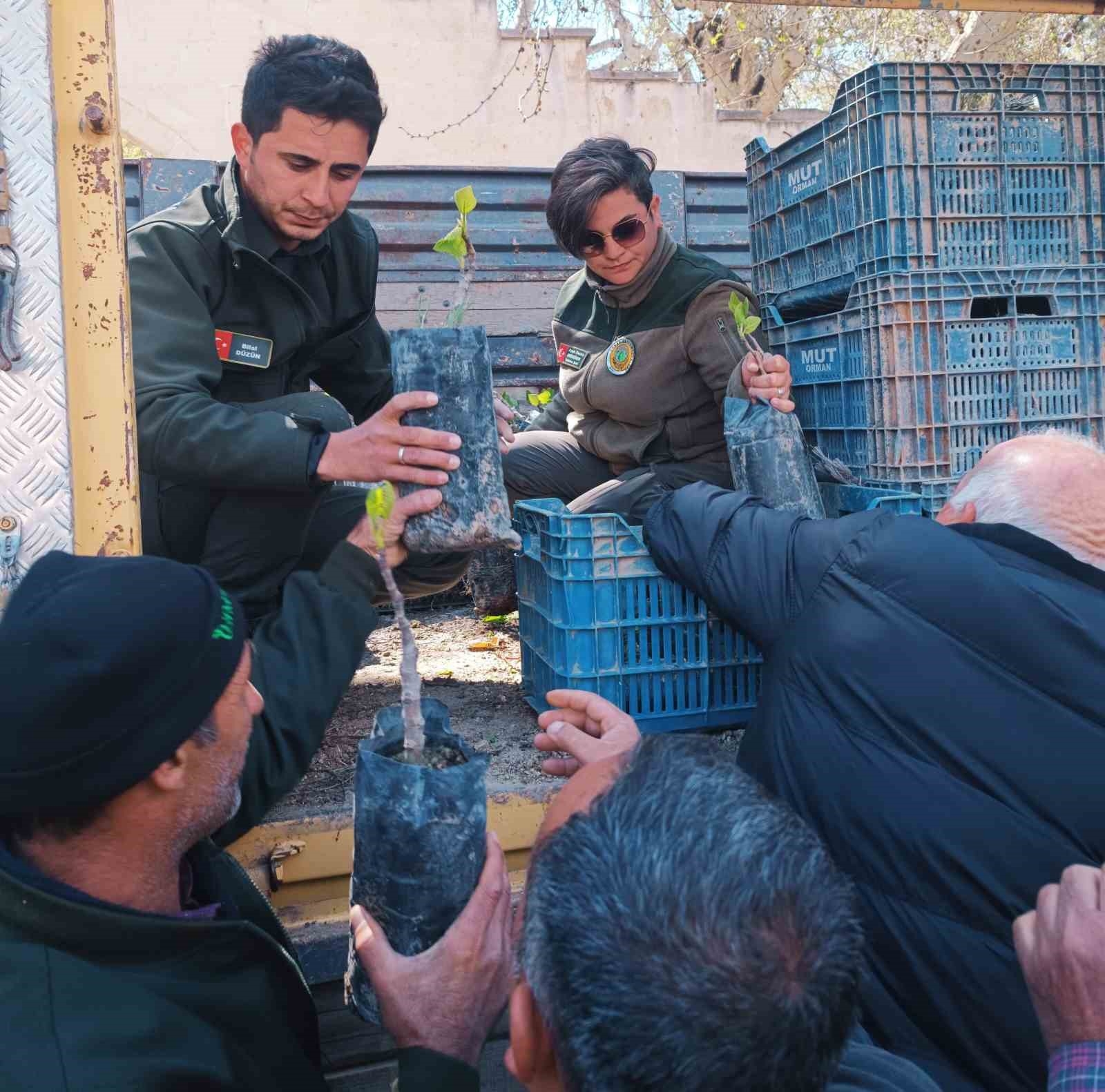 Mersin'de 6 bin fidan ücretsiz dağıtıldı