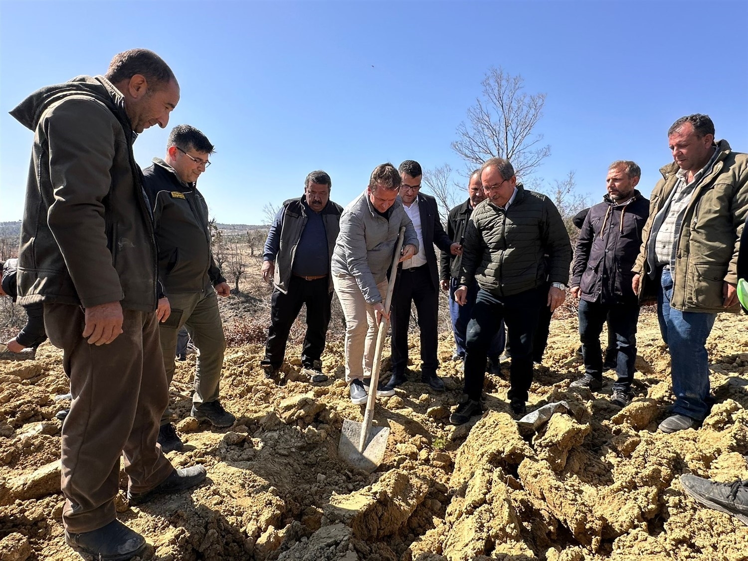 Mersin'de biberiye fidanları toprakla buluşturuldu