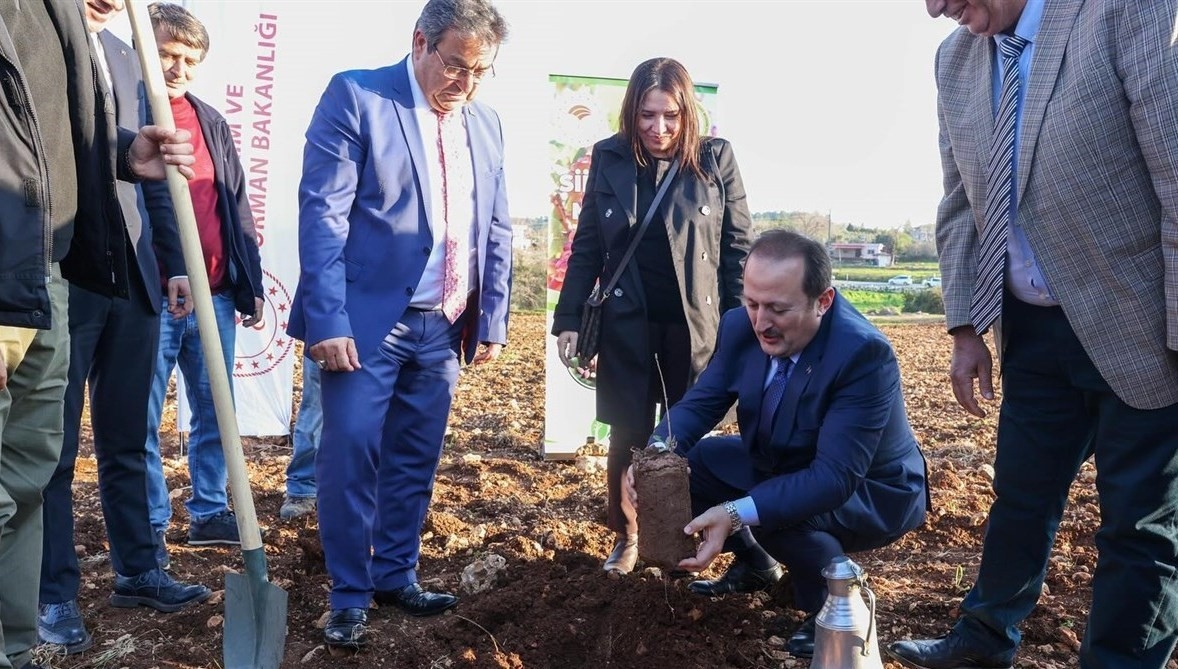 Mersin'de 'Siirt Fıstığı Mersin'de projesi kapsamında fidan dağıtıldı