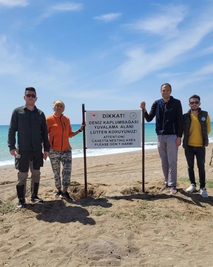 Sahillerde deniz kaplumbağalarına karşı uyarı levhaları