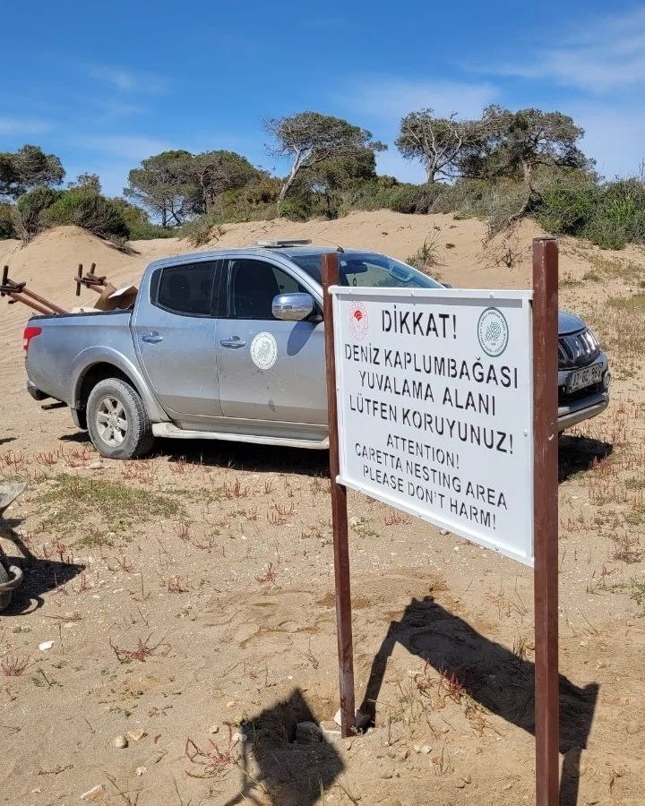 Sahillerde deniz kaplumbağalarına karşı uyarı levhaları