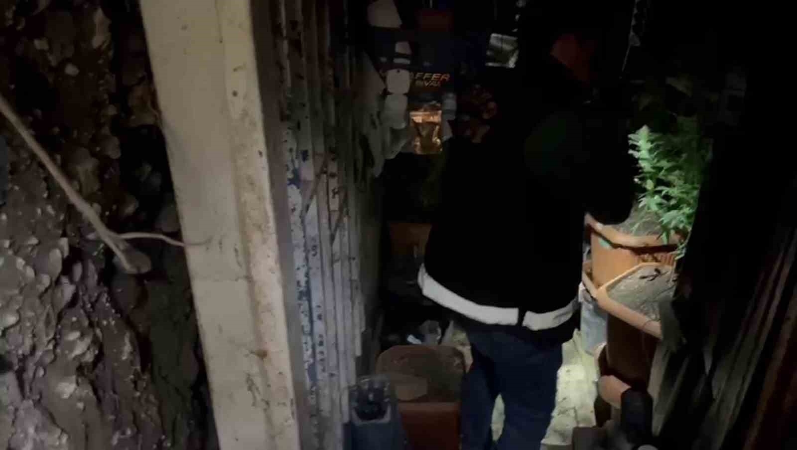 Sığınakta kurduğu sistemle kenevir yetiştirdi