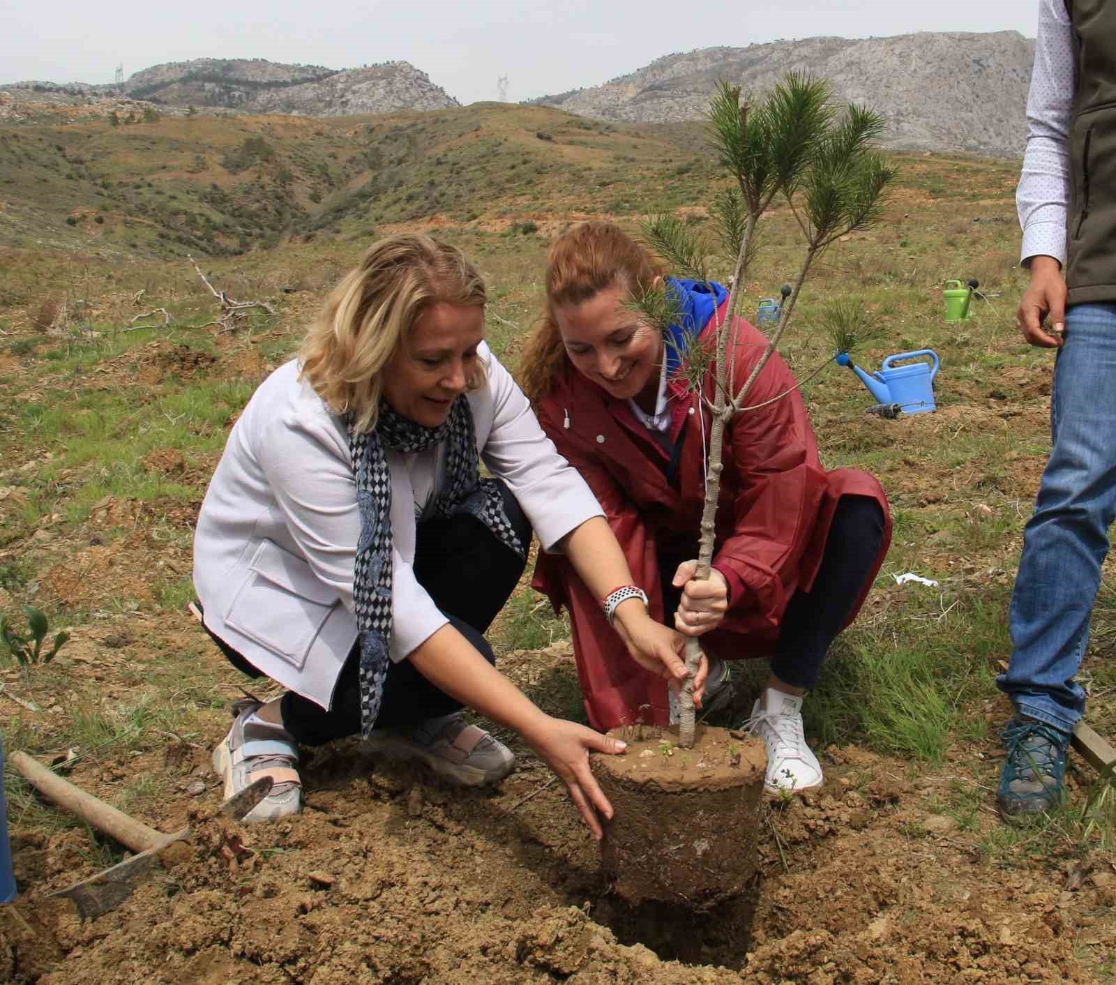 Yanan alana QNB Sigorta 10 bin fidanla orman kurdu
