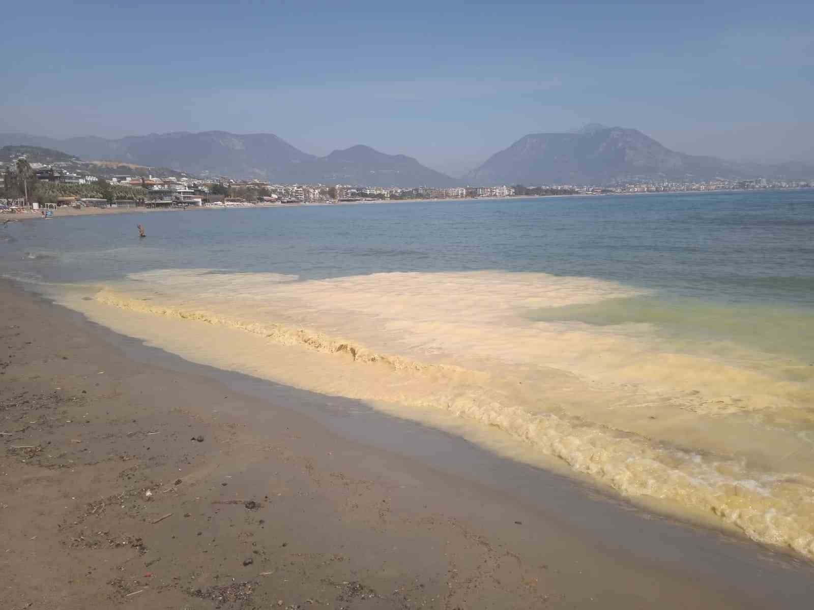 Antalya'da deniz kıyılarında tedirgin eden görüntüye uzmanından açıklama