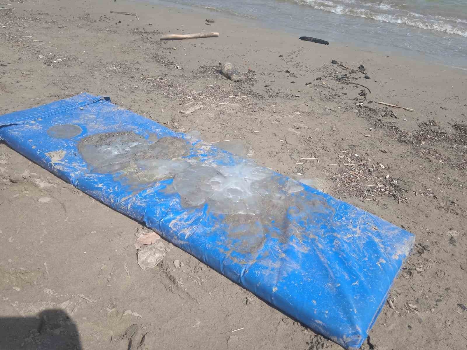 Antalya'da deniz kıyısında sarı köpük içinde ölü denizanaları görüldü