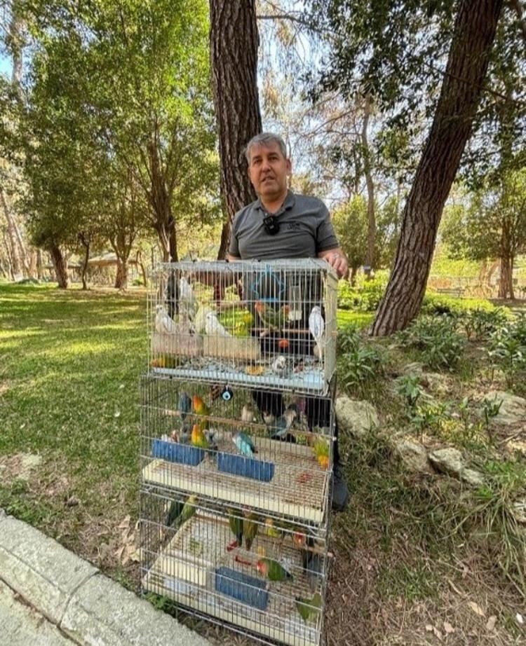 Antalya'da papağan operasyonu: 41 papağan ele geçirildi