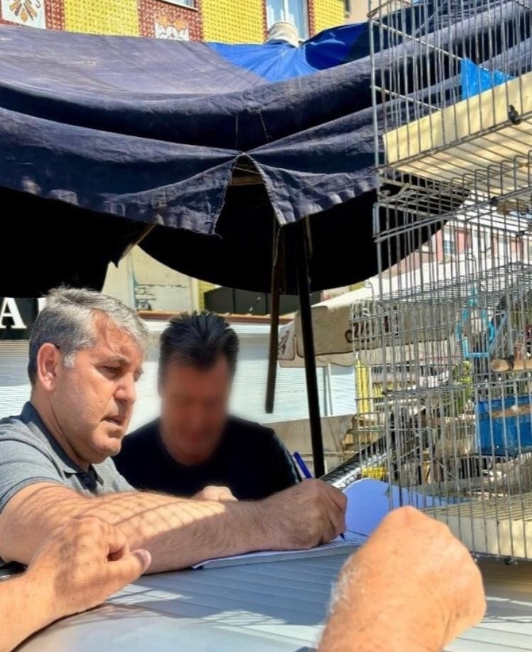 Antalya'da papağan operasyonu: 41 papağan ele geçirildi