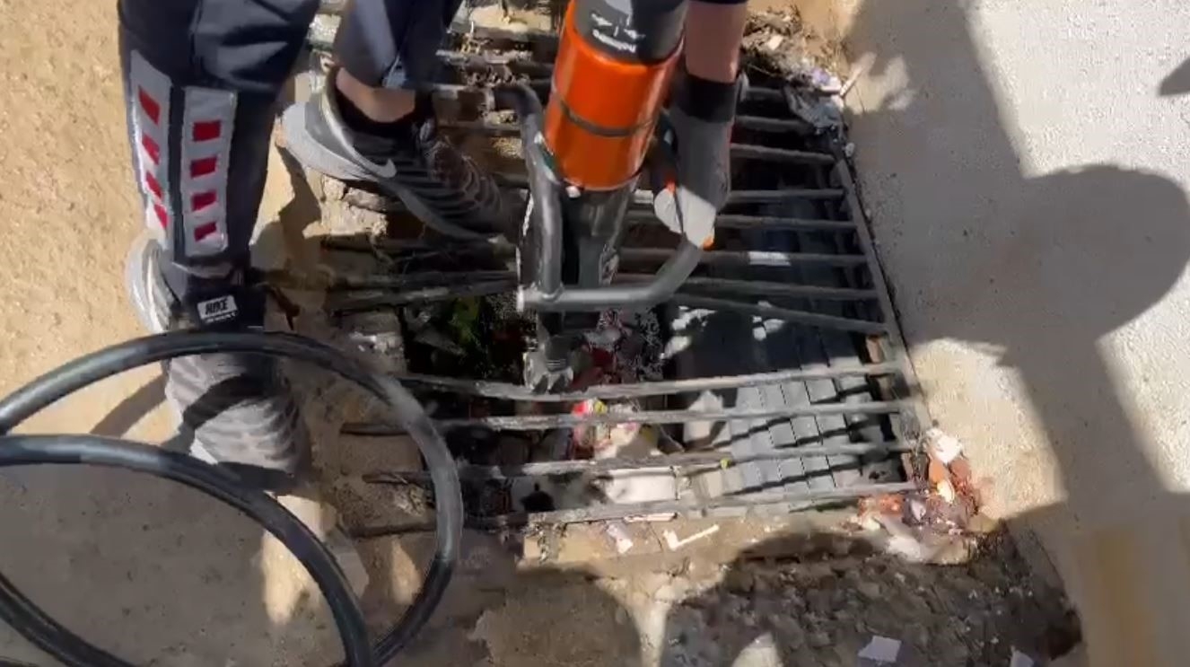 Atık su giderine yavrulayan anne kedi ve yavruları kurtarıldı