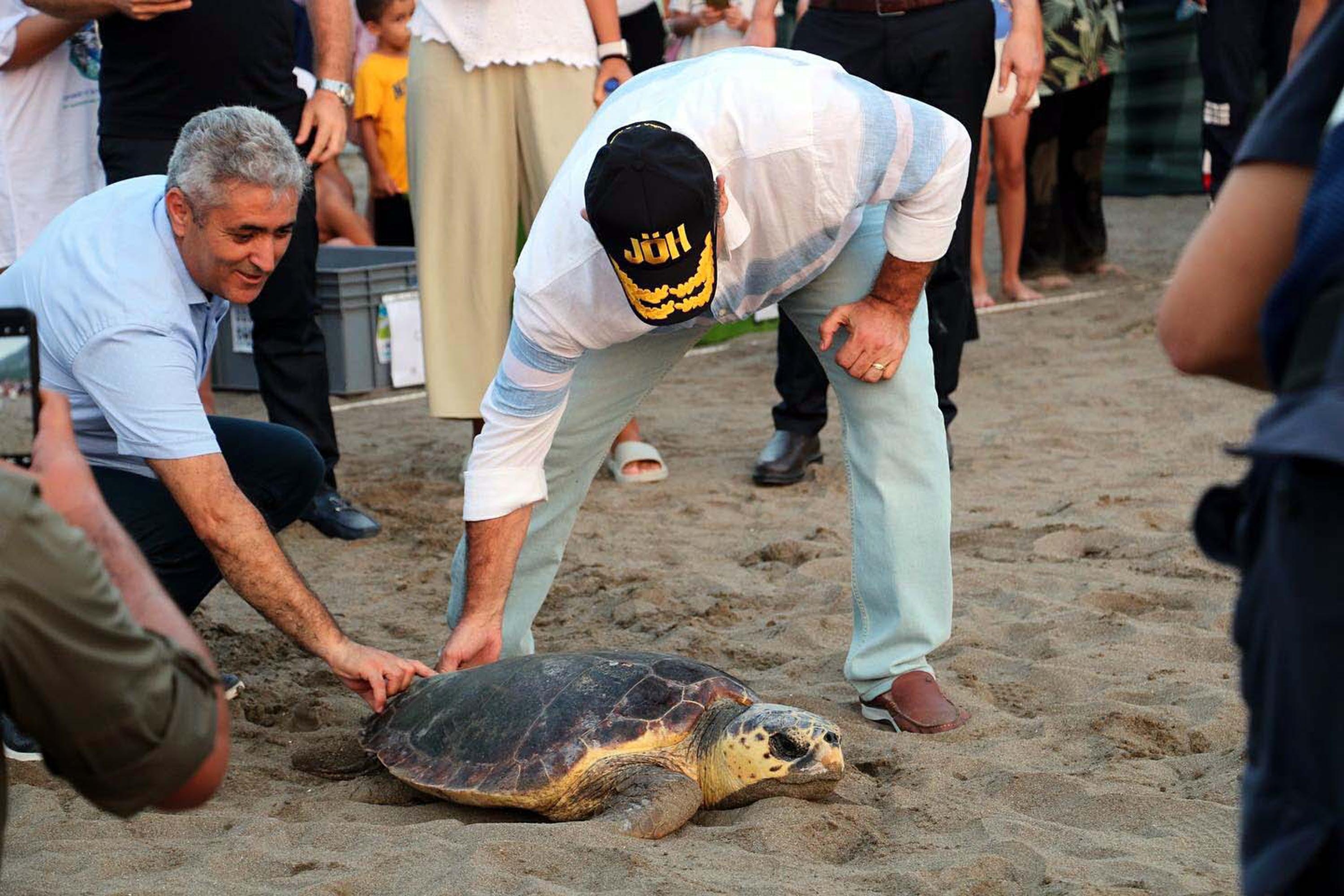 Bayramda tatilcilere caretta caretta uyarısı: Beslemeyin