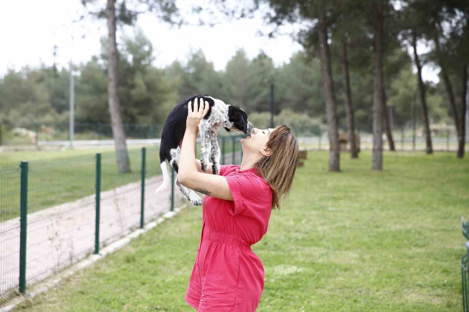 Büyükşehir Sokak Hayvanları Bakım Merkezi yoğun ilgi görüyor