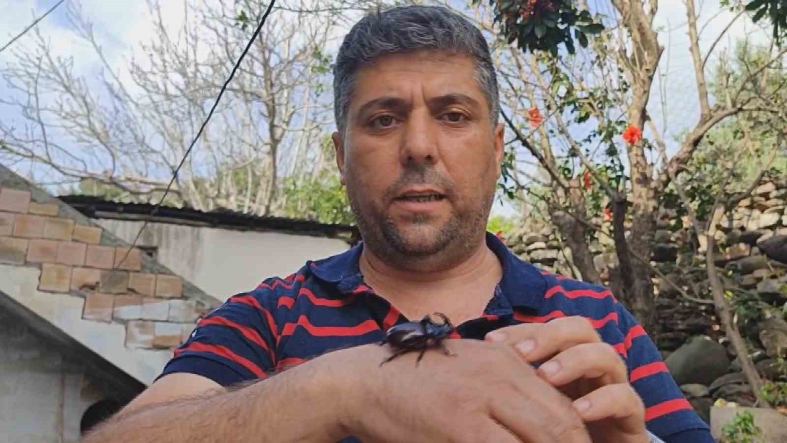 Evinin balkonunda bulduğu gergedan böceğine özel bakım