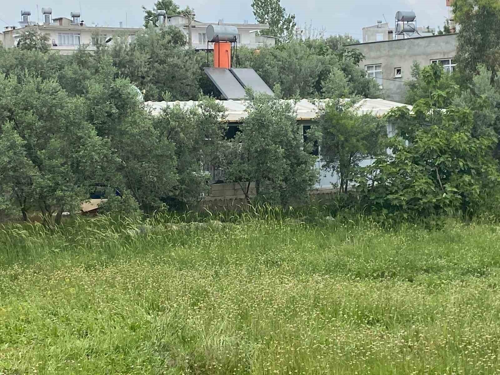 Konteynerinin bulunduğu arazi satılan kadın sokakta kaldı, gözyaşlarına boğuldu