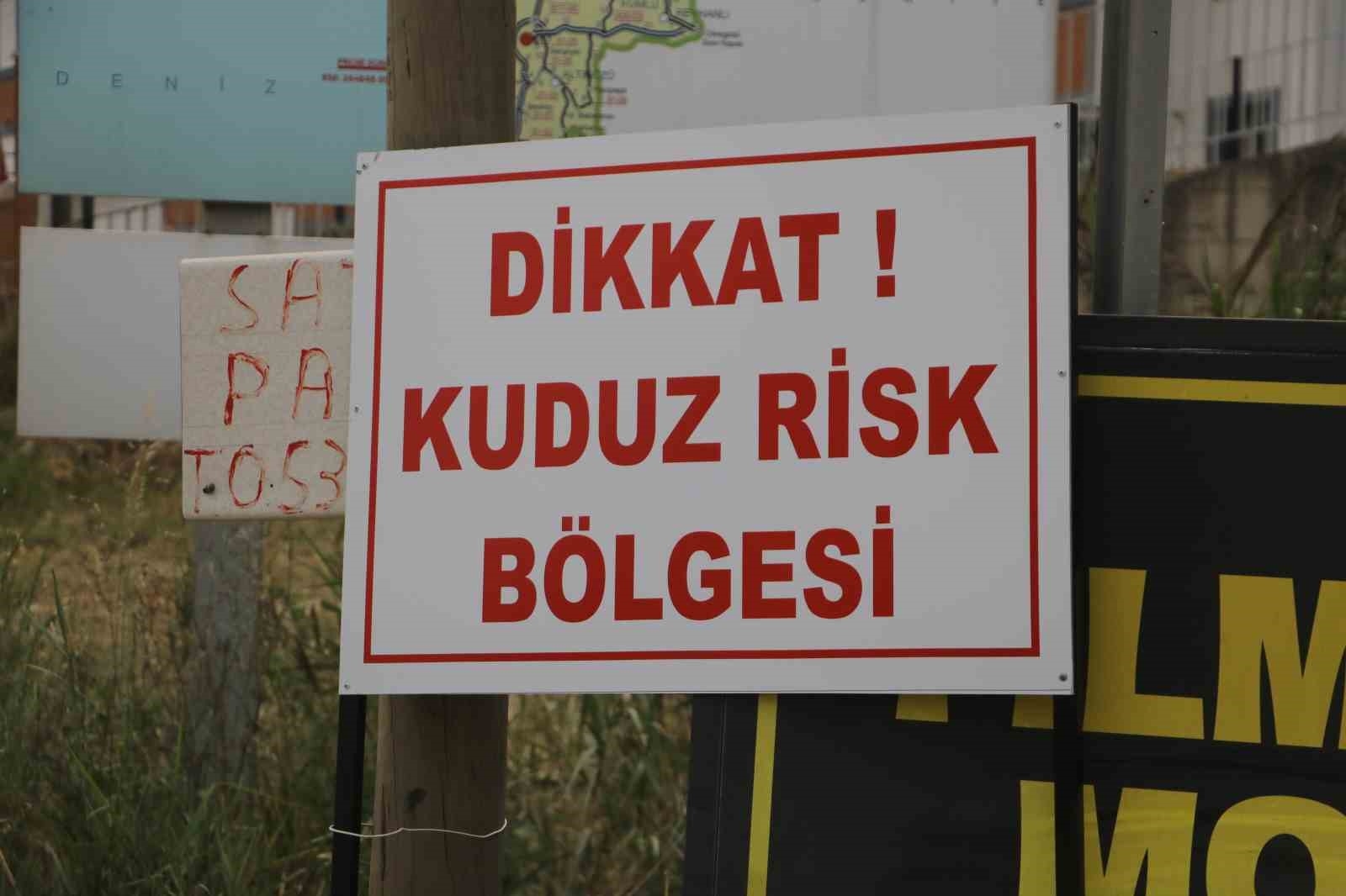 Kuduz hastalığı görülmesiyle karantinaya alınan bölgede sahipsiz hayvanlarla ekipler arasında yaşanan kovalamaca kamerada