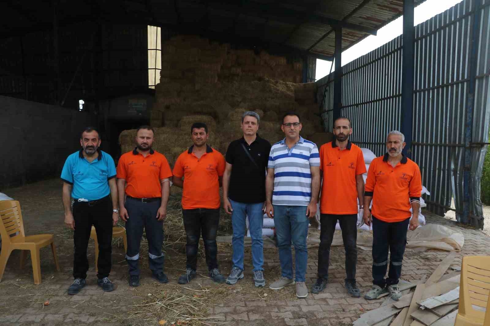 Kuduz hastalığı görülmesiyle karantinaya alınan bölgede sahipsiz hayvanlarla ekipler arasında yaşanan kovalamaca kamerada