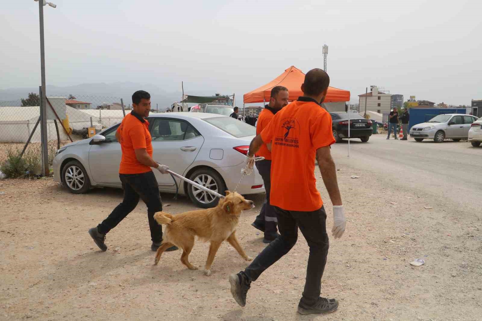 Kuduz hastalığı görülmesiyle karantinaya alınan bölgede sahipsiz hayvanlarla ekipler arasında yaşanan kovalamaca kamerada