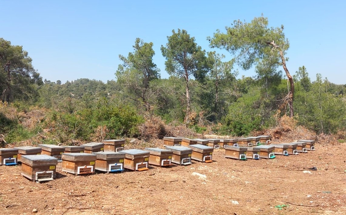 Mersin'de arıcılara 4 milyon 200 bin TL destek sağlandı