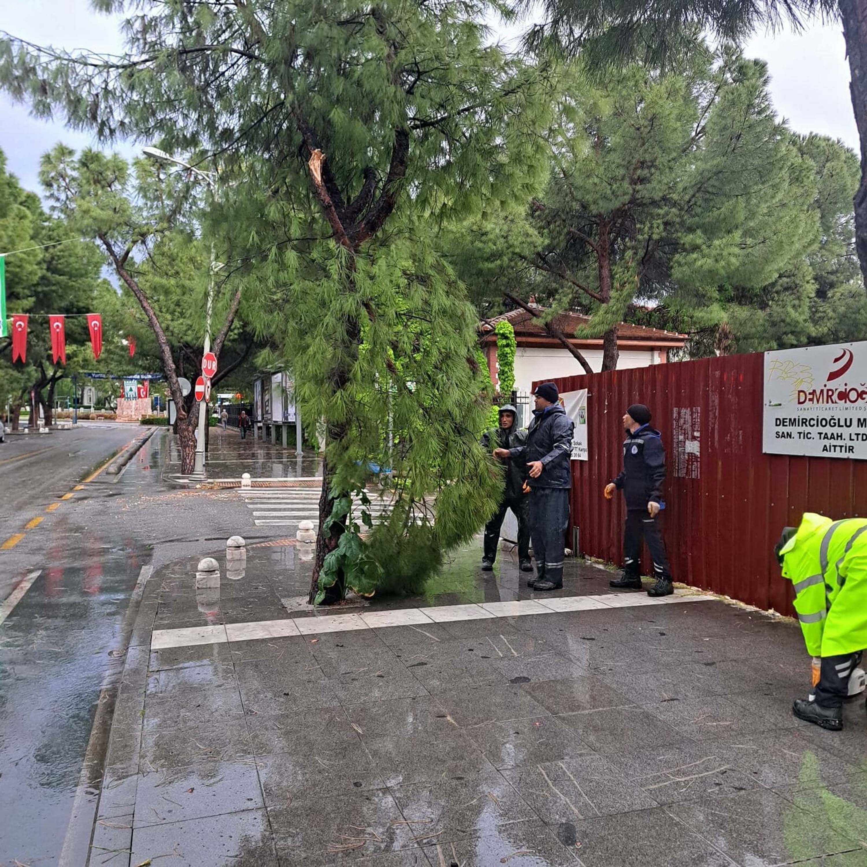Muğla'da fırtına, sağanak ve hortum; ağaçlar devrildi, çatılar uçtu