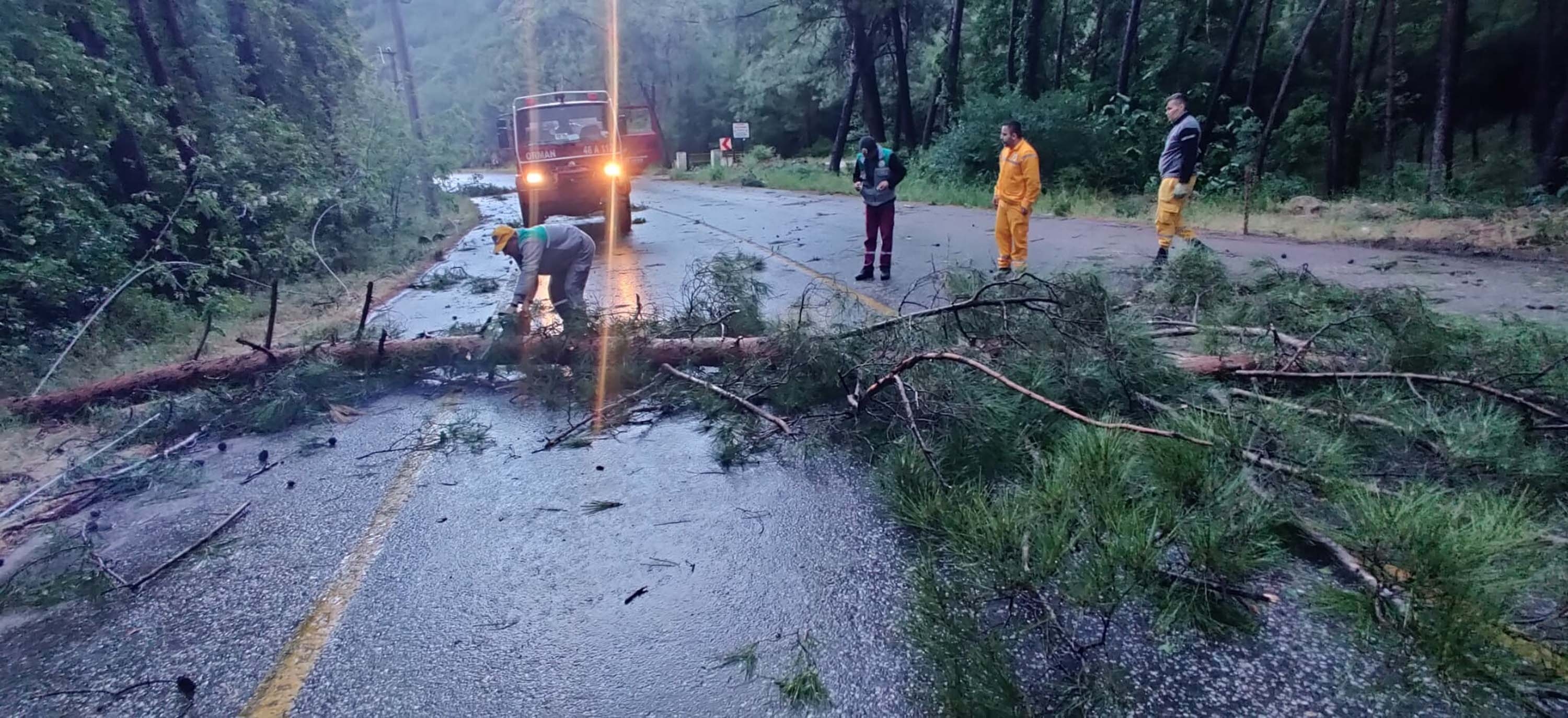 Muğla'da fırtına, sağanak ve hortum; ağaçlar devrildi, çatılar uçtu