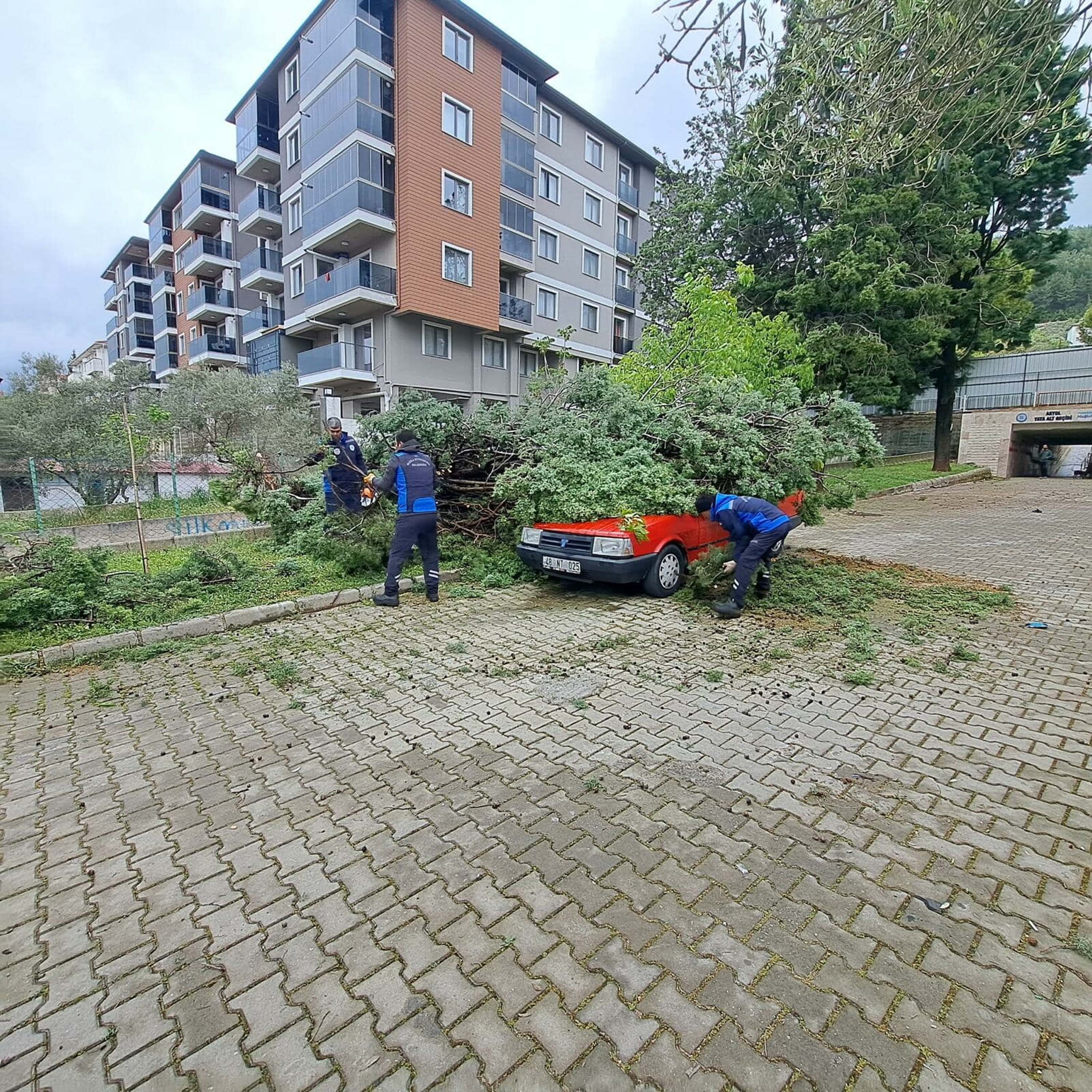 Muğla'da fırtına, sağanak ve hortum; ağaçlar devrildi, çatılar uçtu