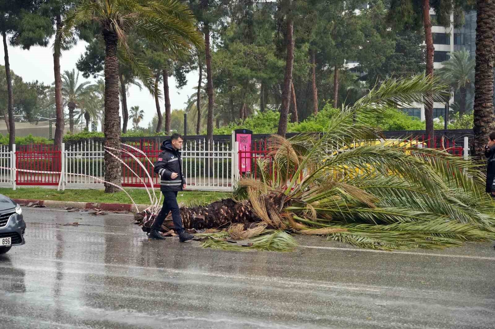Sarı kodla uyarılan Antalya'da şiddetli rüzgar etkili oluyor