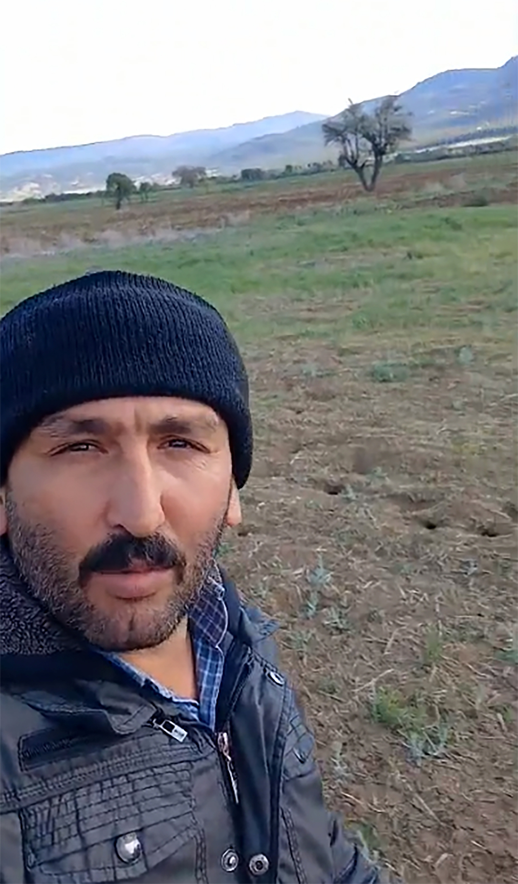 Tarlayı fareler bastı, üretici isyan etti