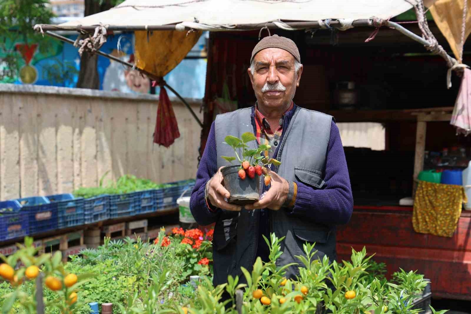 60 yıldır bitki yetiştirip satıyor
