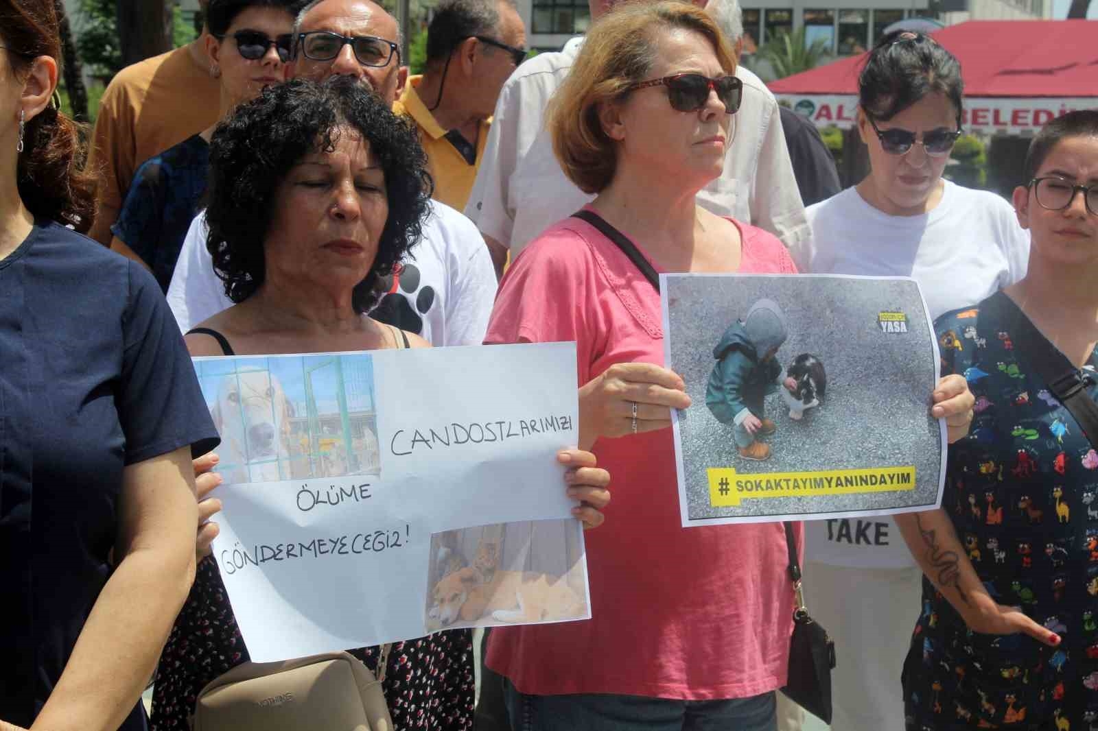 Alanya'da hayvanseverlerden sokak hayvanları düzenlemesine tepki