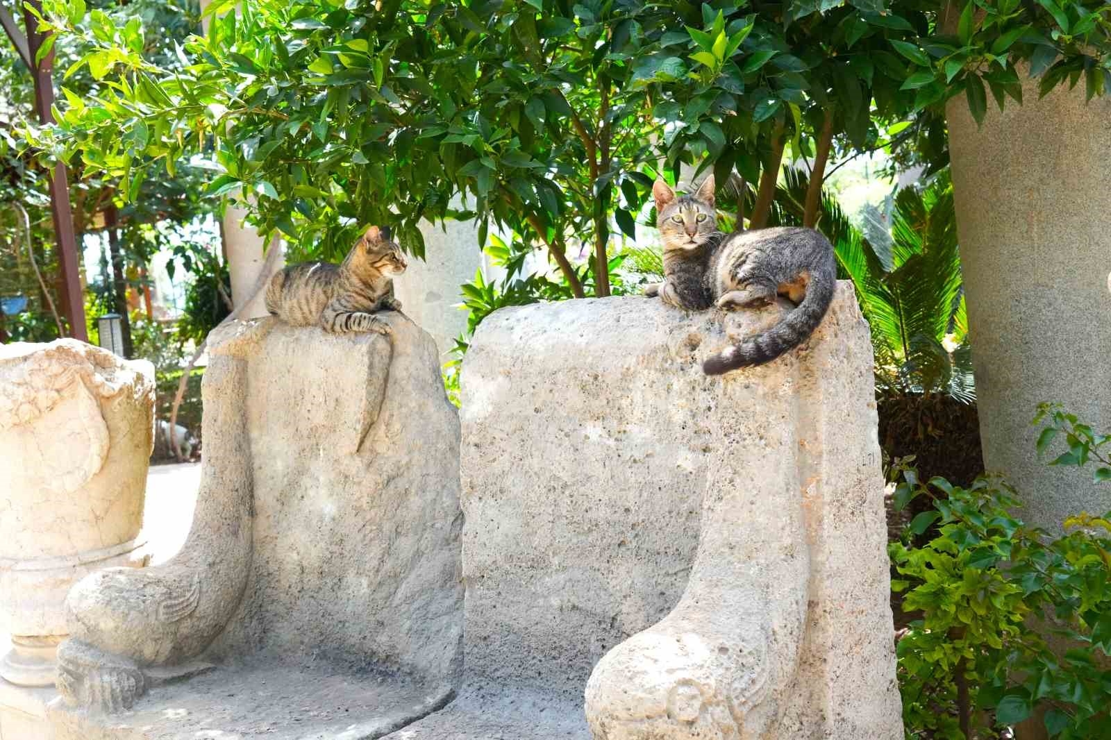 Antalya'da 'Müzeler Günü'nde ziyaretçi birincisi Olympos Antik Kenti oldu