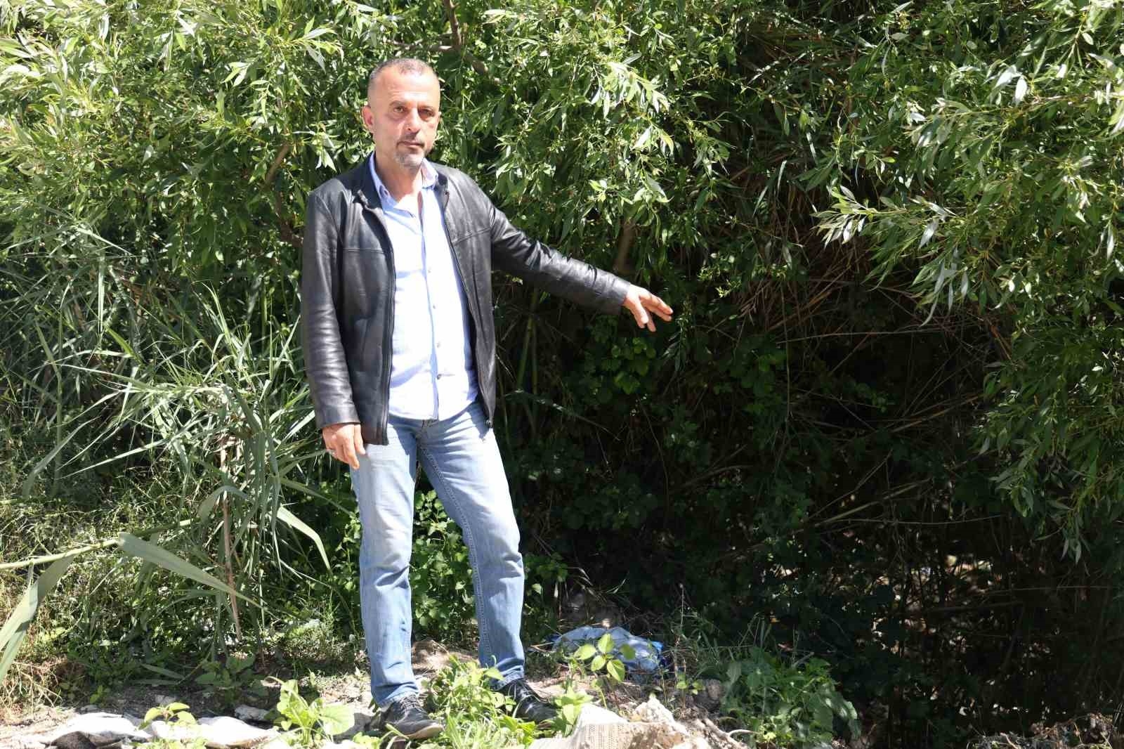 'Benden korkmuyorlar, alıştılar" diyen vatandaş, aç kalan domuzları köpek maması ve yemek artıklarıyla besliyor