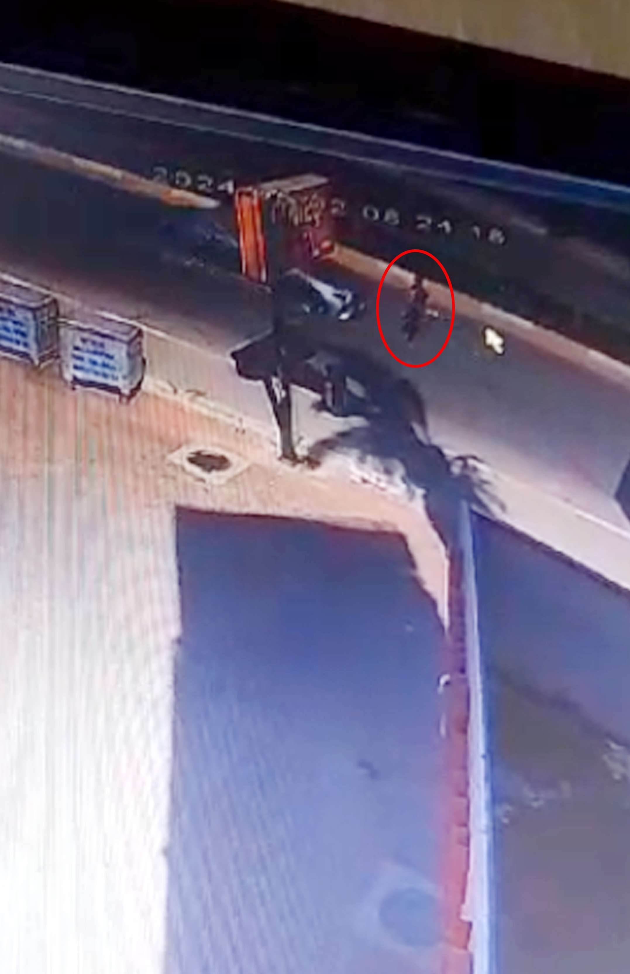 Köpeklerden kaçarken otomobilin çarptığı çocuk yaralandı !