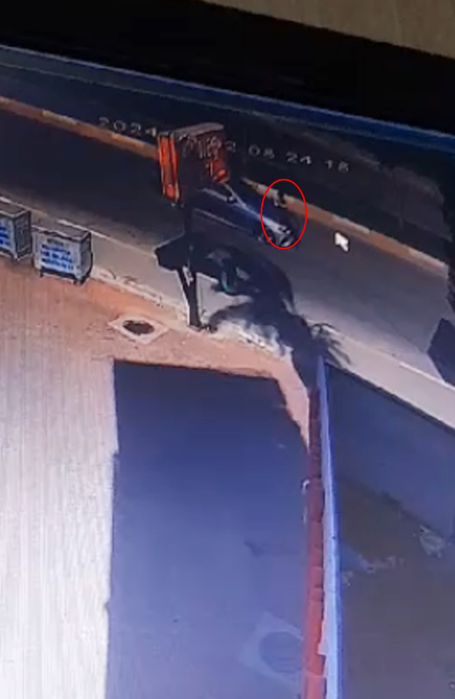Köpeklerden kaçarken otomobilin çarptığı çocuk yaralandı !