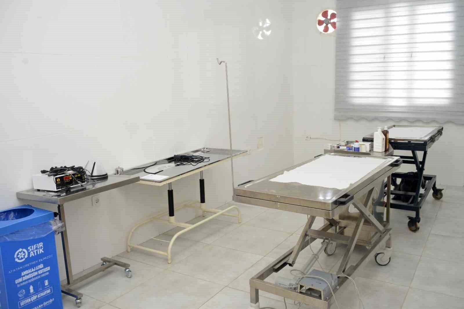 Mersin'de sokak hayvanları için 15 bin metrekarelik bakımevi yapıldı
