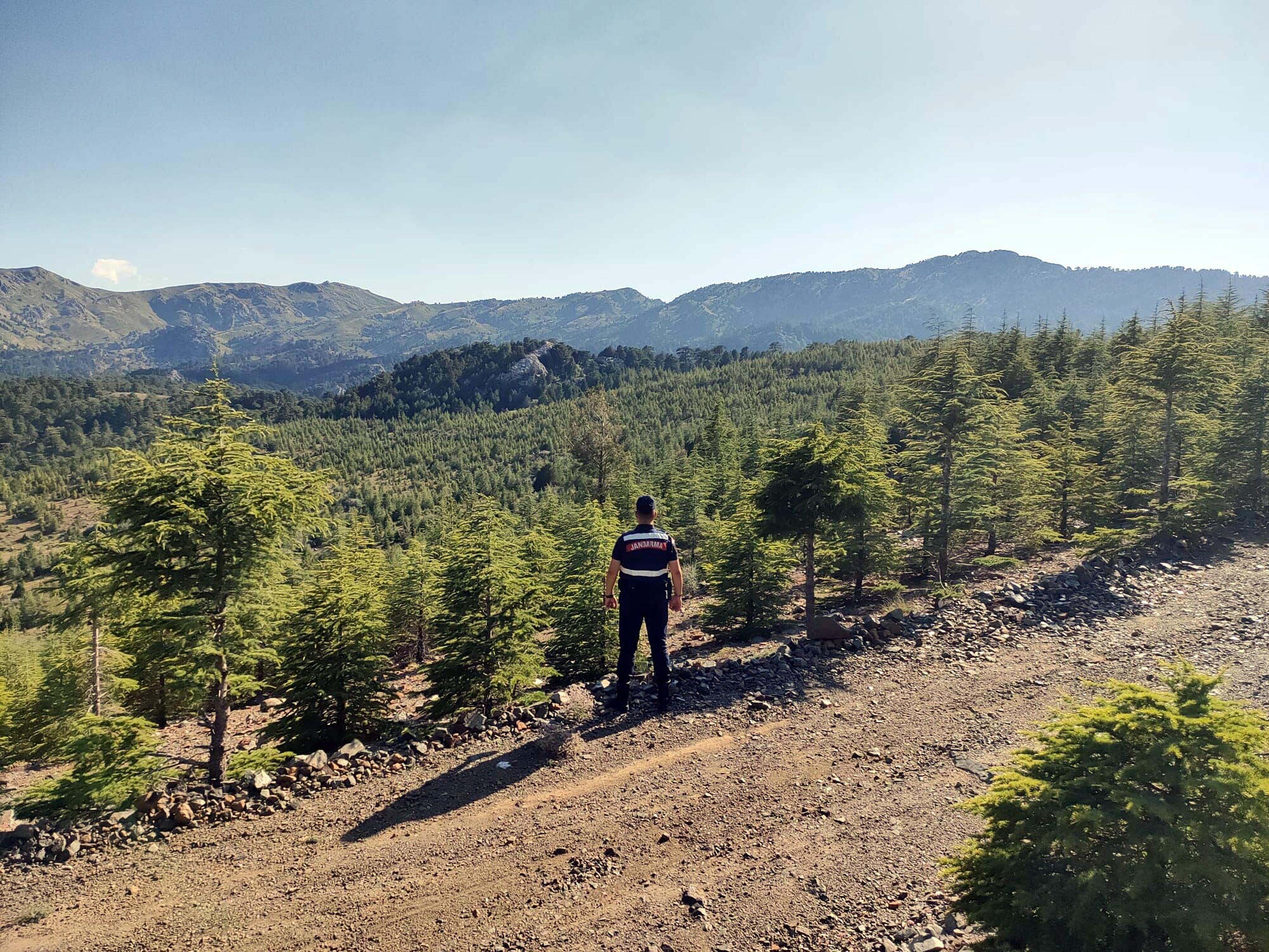 Muğla'da ormanlara giriş yasaklandı